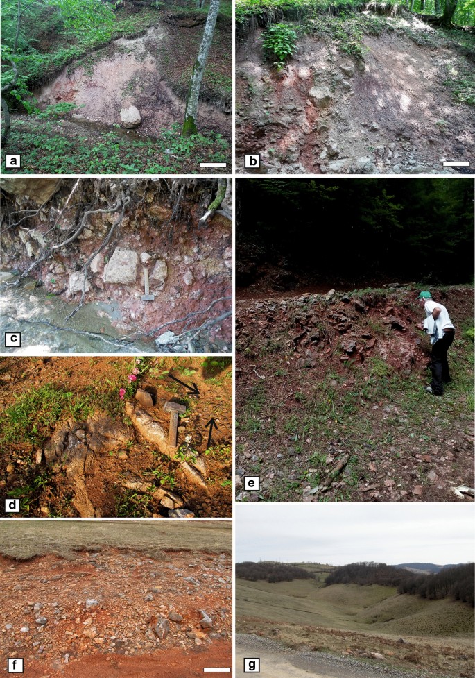 Upper Triassic–Lower Jurassic continental carbonates from the Apuseni  Mountains, Romania: facies, lithology and paleoenvironments | SpringerLink