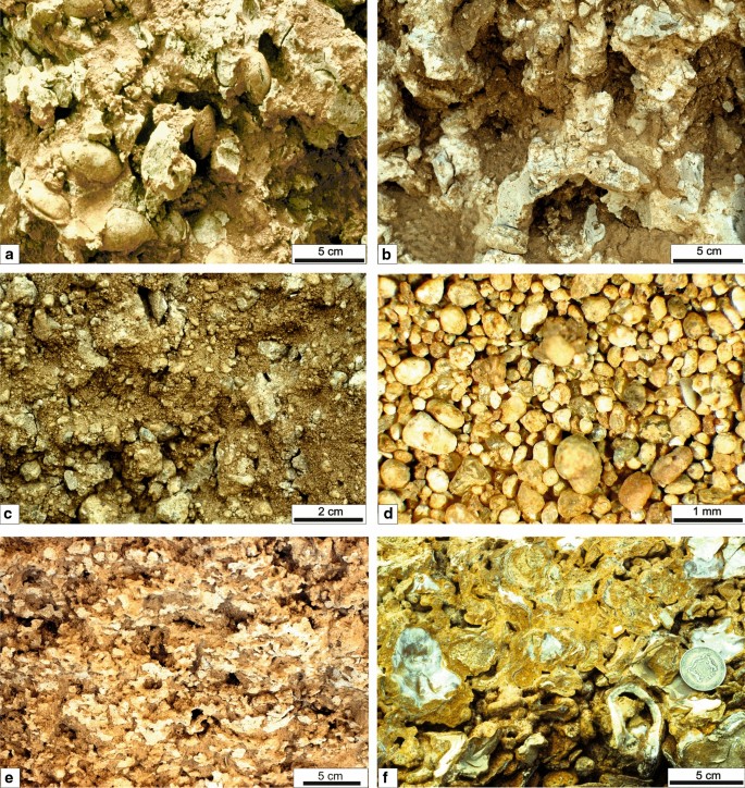Facies Analysis And Environmental Interpretation Of A Late Pleistocene Coastal Lagoon Sedimentary Sequence Containing A Coprinisphaera Bearing Terrestrial Episode Kisimayo Southern Somalia Springerlink