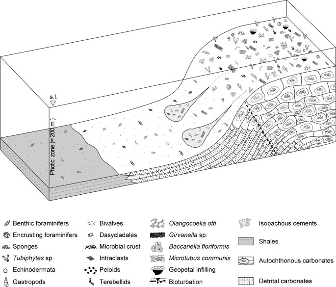 figure 15