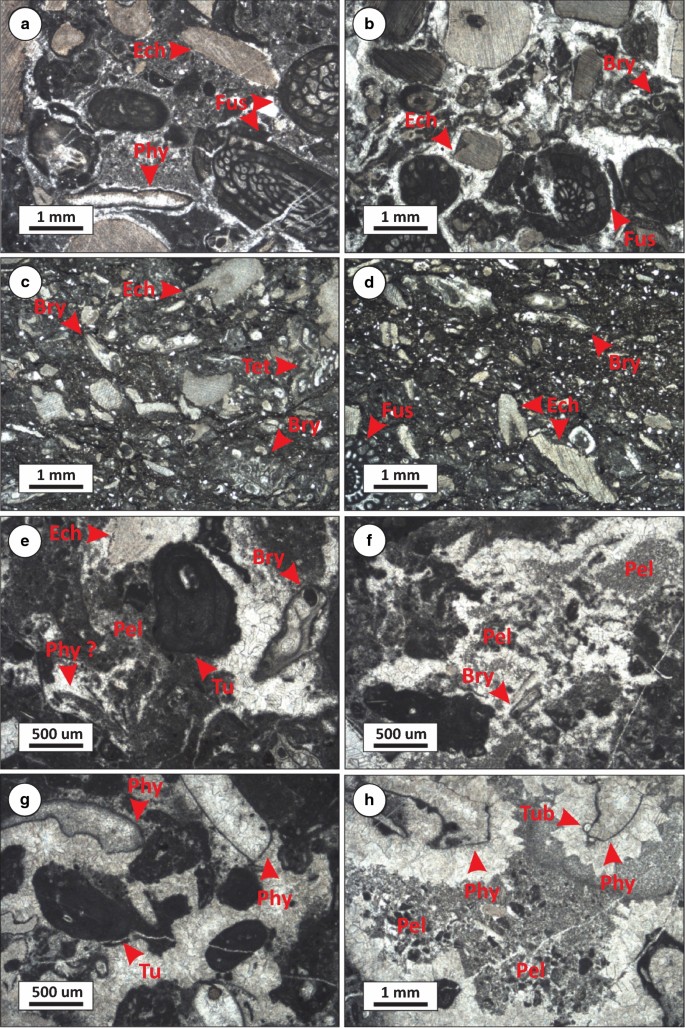 figure 14