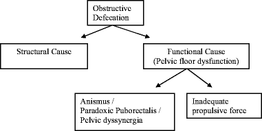 Pelvic Floor Dysfunction Making Sense Of The Terminology