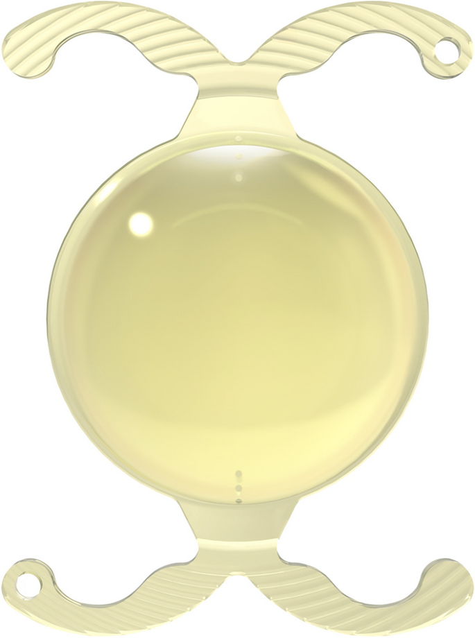 Clinical performance of a hydrophobic acrylic toric intraocular lens ...