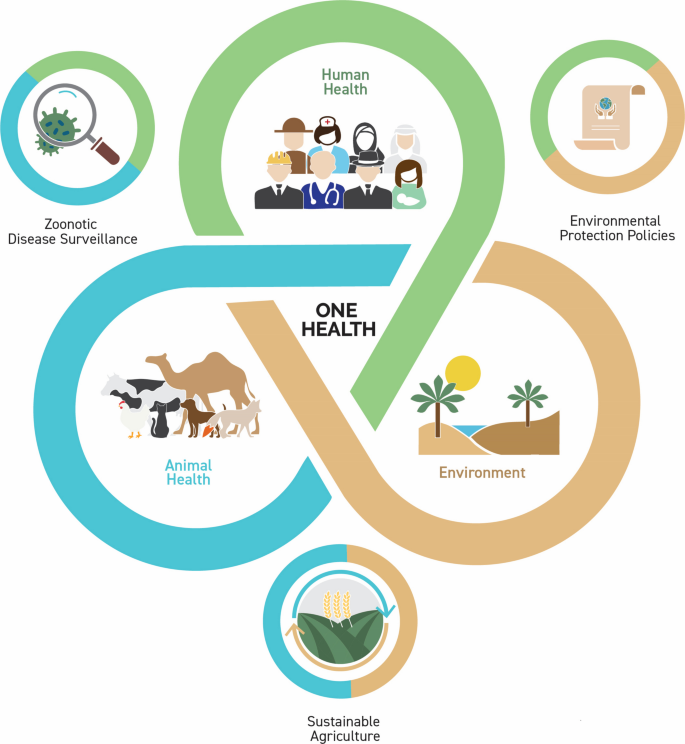 One health in Gulf Cooperation Council countries: A roadmap for ...