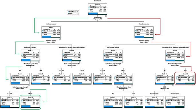 Pain Tree Form Classifying pain severity in middle-aged and older Europeans with back ...