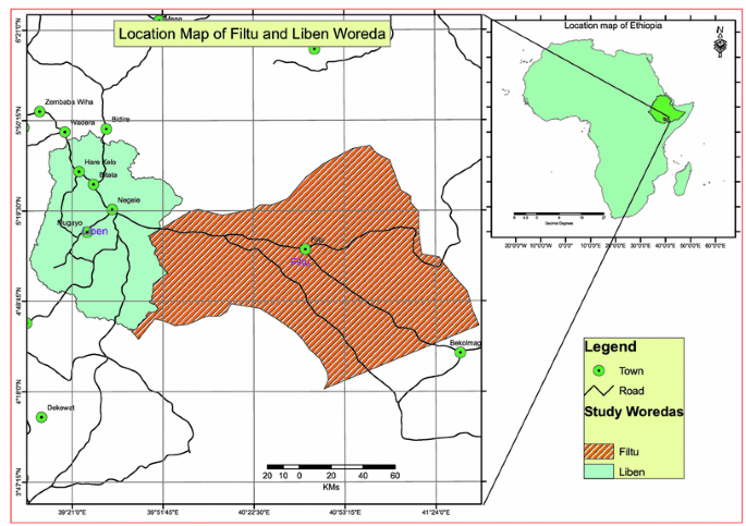 Zoonotic Transmission Of Tuberculosis Between Pastoralists And Their Livestock In South East Ethiopia Springerlink