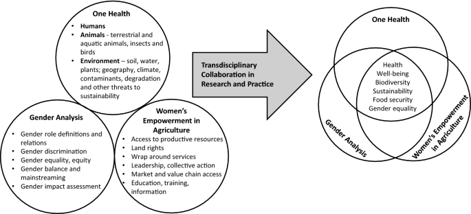 Gender Analysis For One Health: Theoretical Perspectives And  Recommendations For Practice | Springerlink