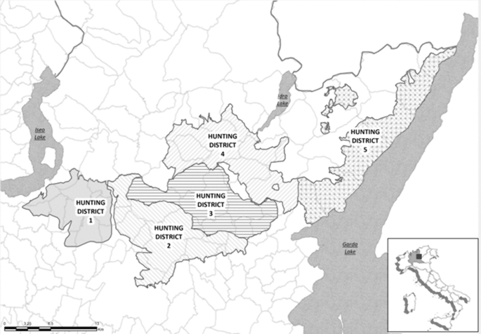 Influence of Anthropic Environmental-Related Factors on Erysipelas in Wild  Boar | SpringerLink
