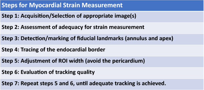 Global Longitudinal Strain: A practical Step-by-Step Approach to