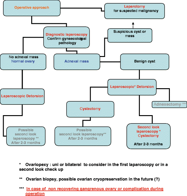 intermittent ovarian torsion