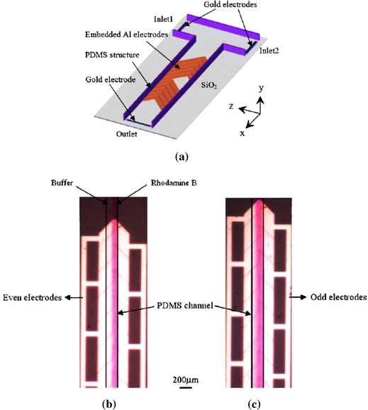 figure 22