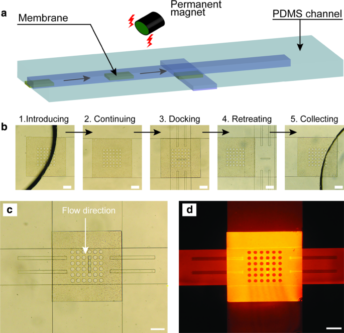 make text stencil autocad 2003