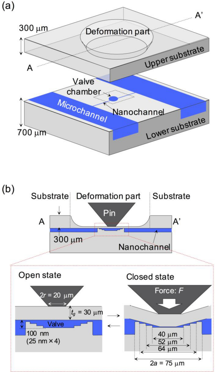 Ale Picknicken Diplomaat Implementation of a nanochannel open/close valve into a glass nanofluidic device | SpringerLink Ale Picknicken Diplomaat Implementation of a nanochannel open/close valve into a glass nanofluidic device | SpringerLink