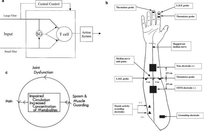 Effects Of Electrical Stimulation On Skin Surface Springerlink Effects Of Electrical Stimulation On Skin Surface Springerlink