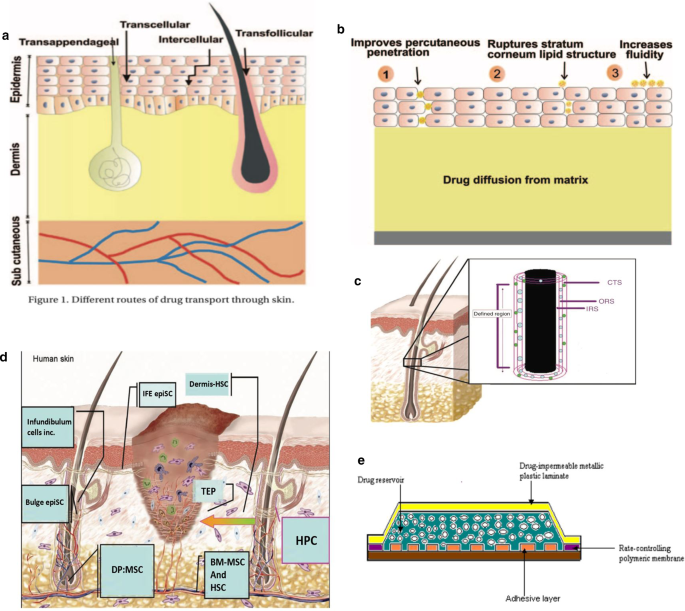 Effects of electrical stimulation on skin surface | SpringerLink