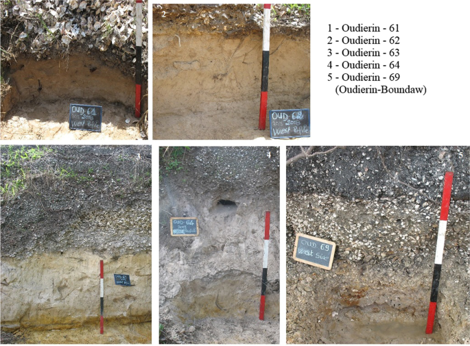 The Oudierin Drainage Archaeological Project New Perspectives On The Saloum Delta Shell Middens Senegal Springerlink