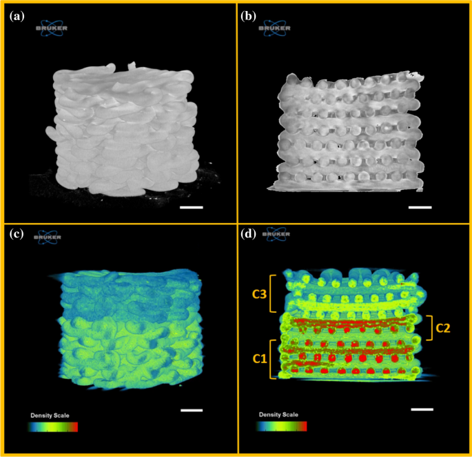 Biodegradable And Biocompatible 3d Constructs For Dental Applications Manufacturing Options And Perspectives Springerlink