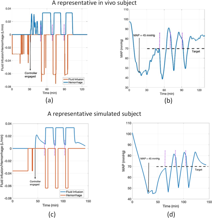 Comparative Assessment of In Vivo and In Silico Evaluation of Automated ...
