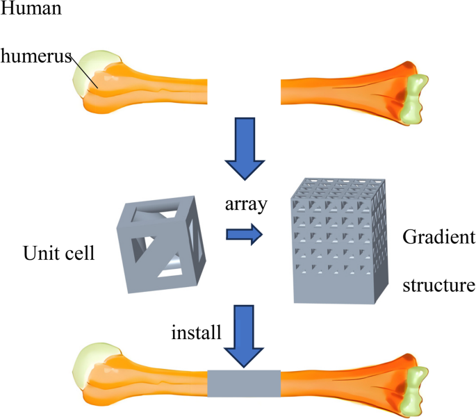 Mechanical Behavior of Layered Gradient Composite Bone Scaffold Based ...