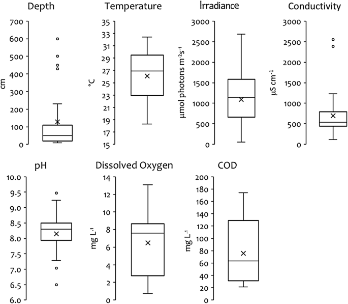 Ecological Study Of The Aquatic Carnivorous Plant Utricularia Australis R Br Lentibulariaceae Springerlink