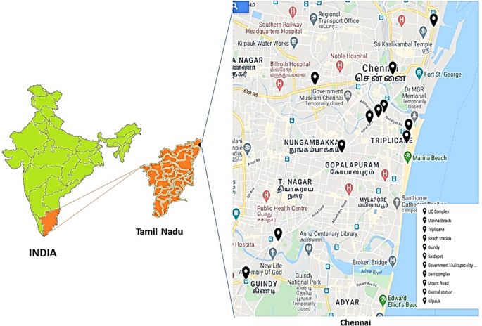 A Preliminary Investigation On Airborne Fungi Of Pedestrian Underpasses Springerlink