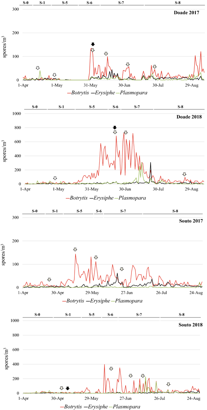 The understanding of phytopathogens as a tool in the conservation of heroic  viticulture areas | Aerobiologia, image size:685x1357
