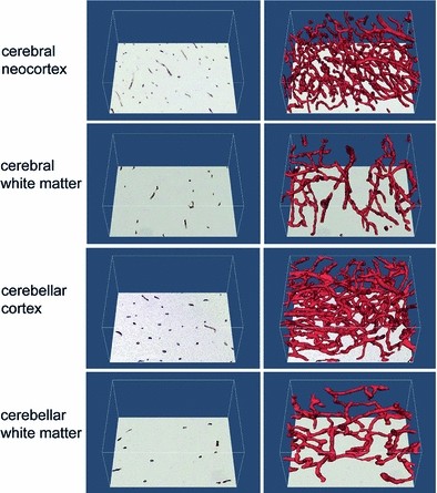 figure 1a-b