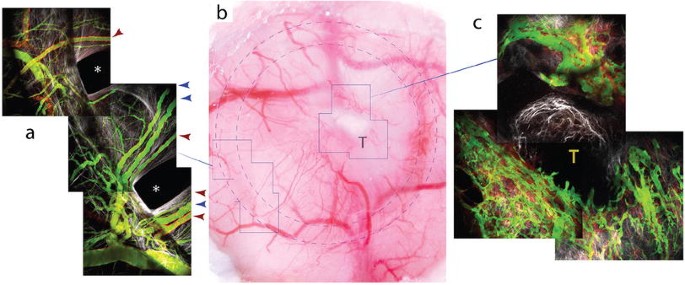 figure 21