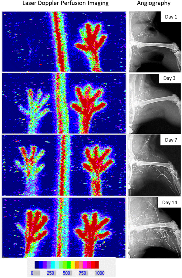 figure 25