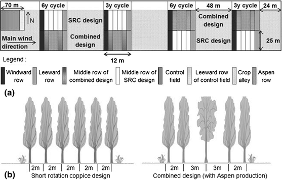 Productivity of poplar short rotation coppice in an alley-cropping  agroforestry system | SpringerLink