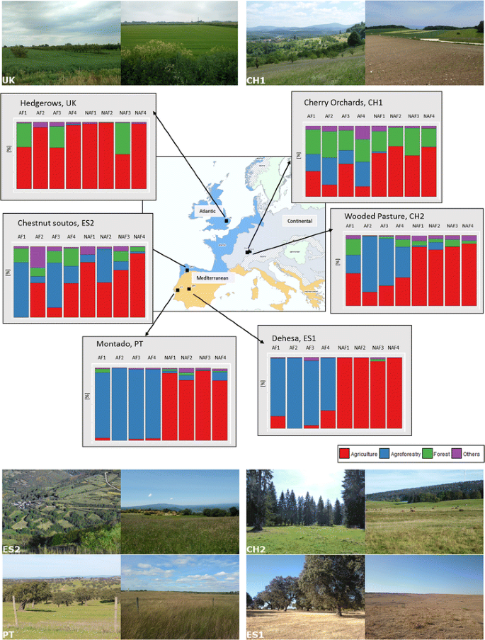 Spatial similarities between European agroforestry systems and ecosystem  services at the landscape scale | SpringerLink
