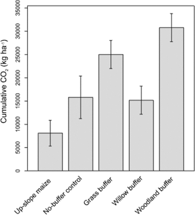 Soil CO2 emissions in cropland with fodder maize (Zea mays L.) with and  without riparian buffer strips of differing vegetation | Agroforestry  Systems