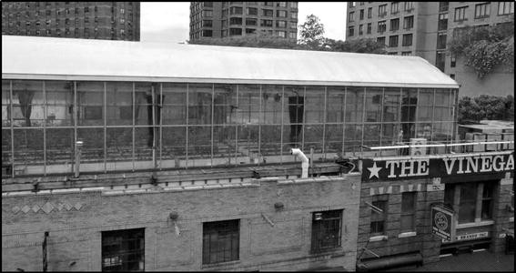 Urban Agriculture Of The Future An Overview Of Sustainability Aspects Of Food Production In And On Buildings Springerlink