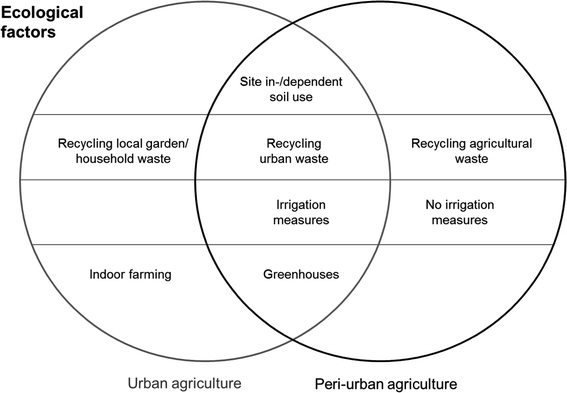 Contributing To Food Security In Urban Areas Differences Between