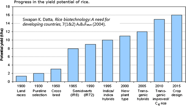Disembedding grain: Golden Rice, the Green Revolution, and ...