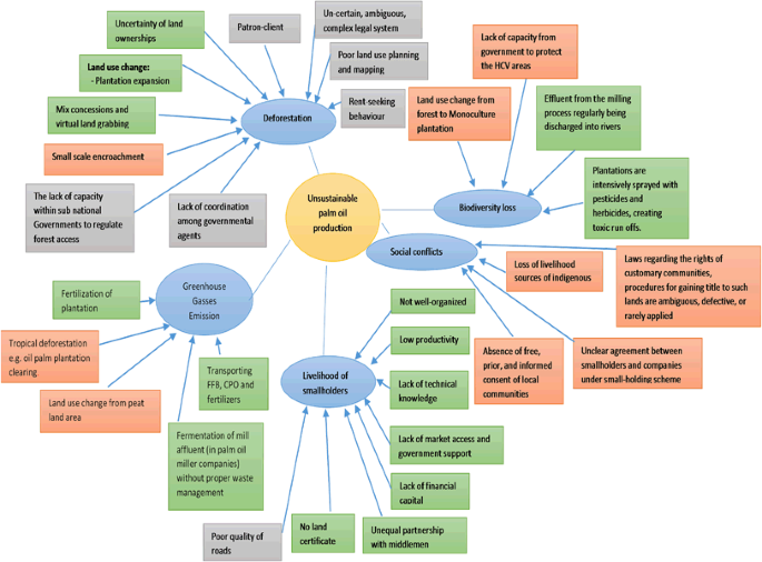 Mapping a more sustainable palm oil future in Indonesia - CIFOR