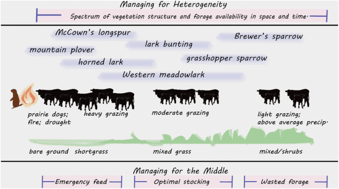Selfstorage Com Find Cheap Storage Units Near You