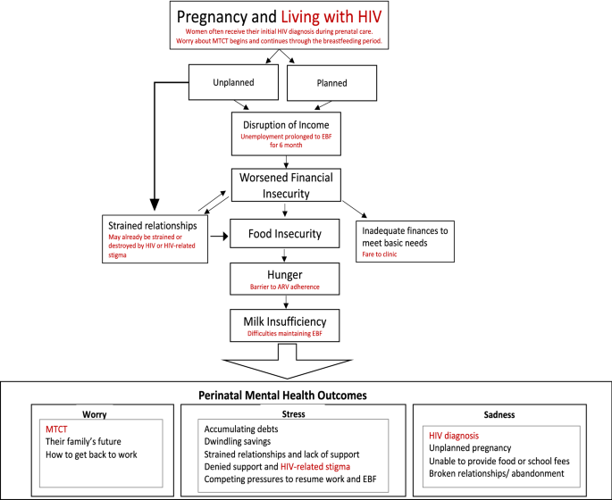 I Found Out I was Pregnant, and I Started Feeling Stressed”: A Longitudinal  Qualitative Perspective of Mental Health Experiences Among Perinatal Women  Living with HIV | SpringerLink