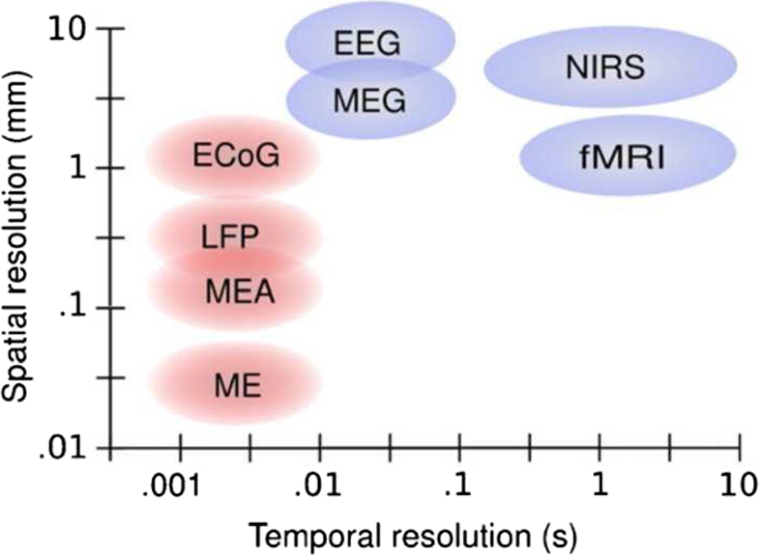 10 conditions diagnosed with an eeg 10 conditions diagnosed with an eeg