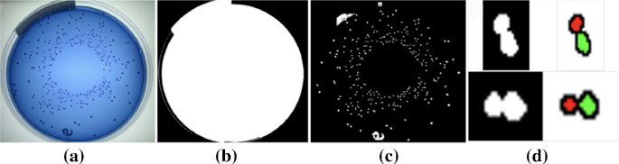 methodology for analysis of images figure 13