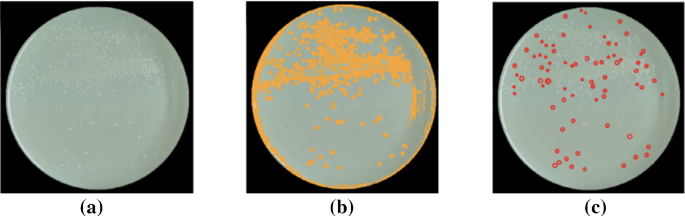 methodology for analysis of images figure 19