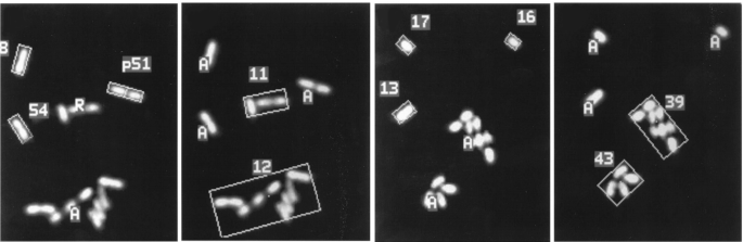 methodology for analysis of images figure 26