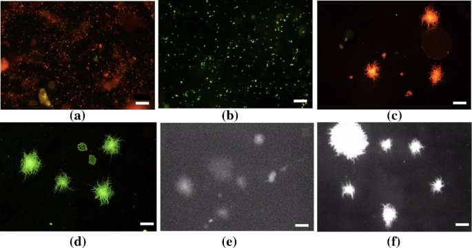 methodology for analysis of images figure 27