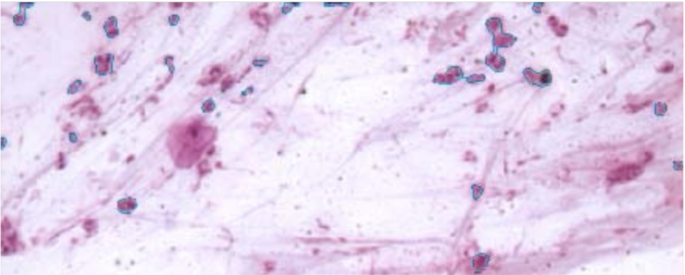 methodology for analysis of images figure 29