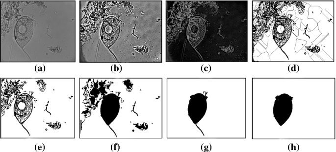 methodology for analysis of images figure 36