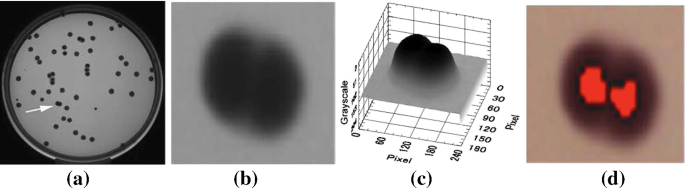 methodology for analysis of images figure 39