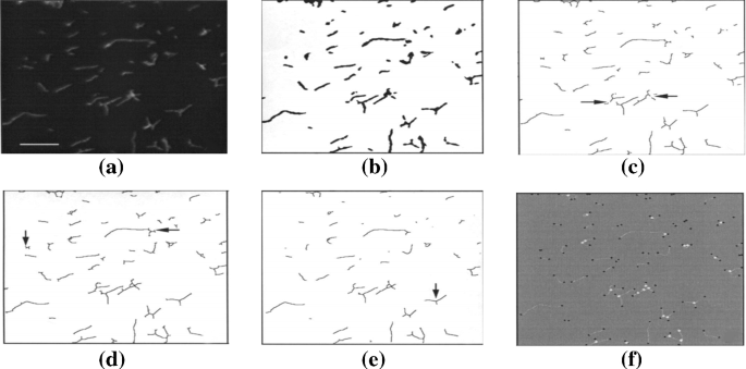 methodology for analysis of images figure 40