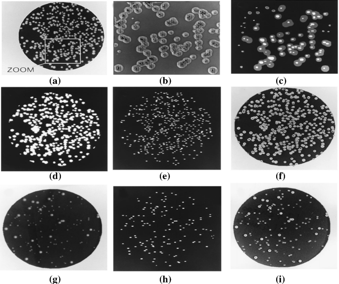 methodology for analysis of images figure 41