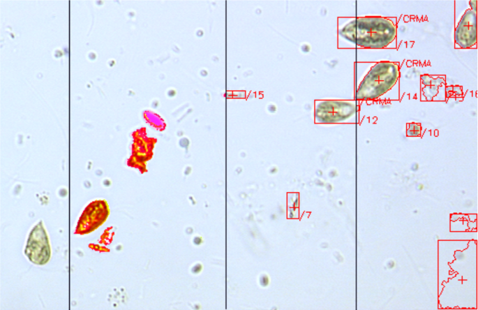 methodology for analysis of images figure 42