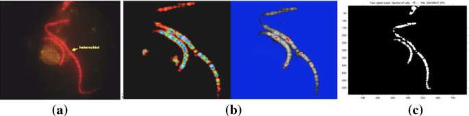 methodology for analysis of images figure 43