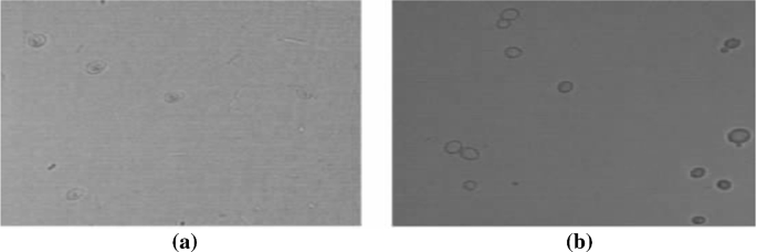 methodology for analysis of images figure 45